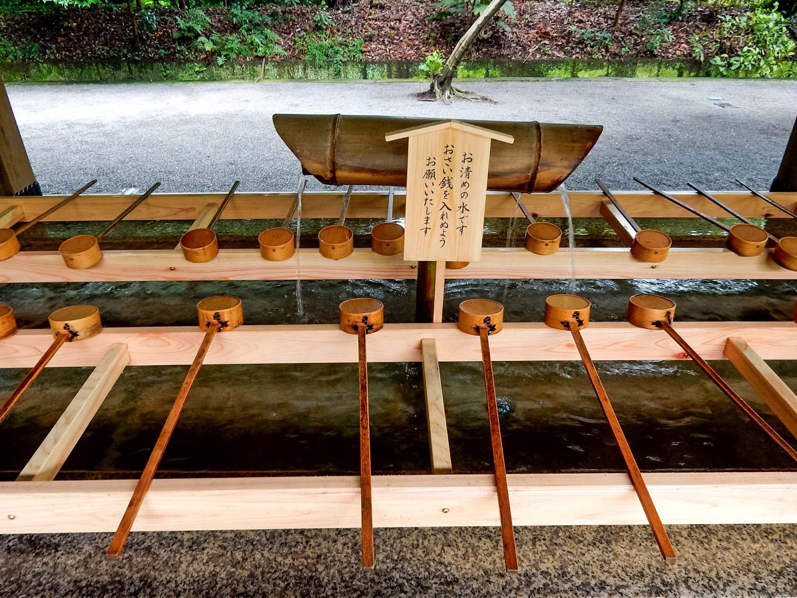 purification troughs