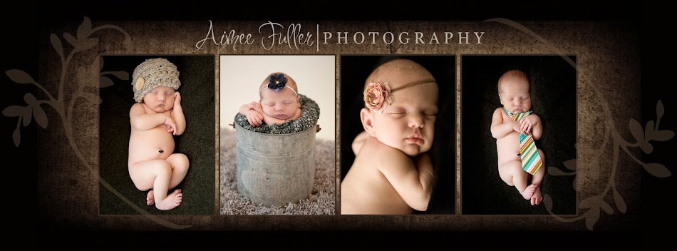 Aimee Fuller Photography - Newborn Baby Child Children & Family Photographer Pearland TX