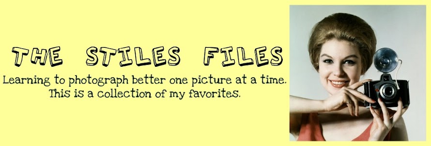The Stiles Files