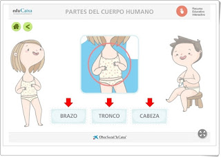 https://www.educaixa.com/microsites/habitos_saludables/partes_cuerpo_humano/