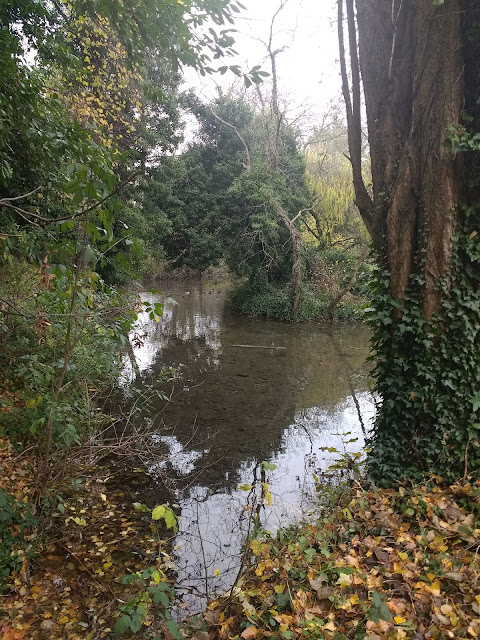 Giant's Grave, Cherry Hinton, Cambridge, Chalk Spring, Gog Magog