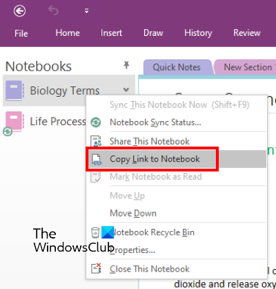 노트북 onenote 링크 복사