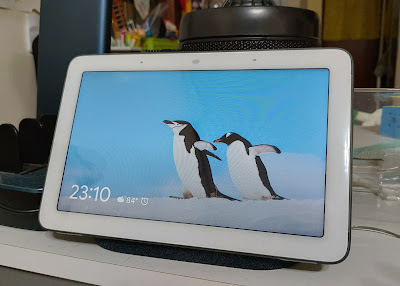 dab radio google home