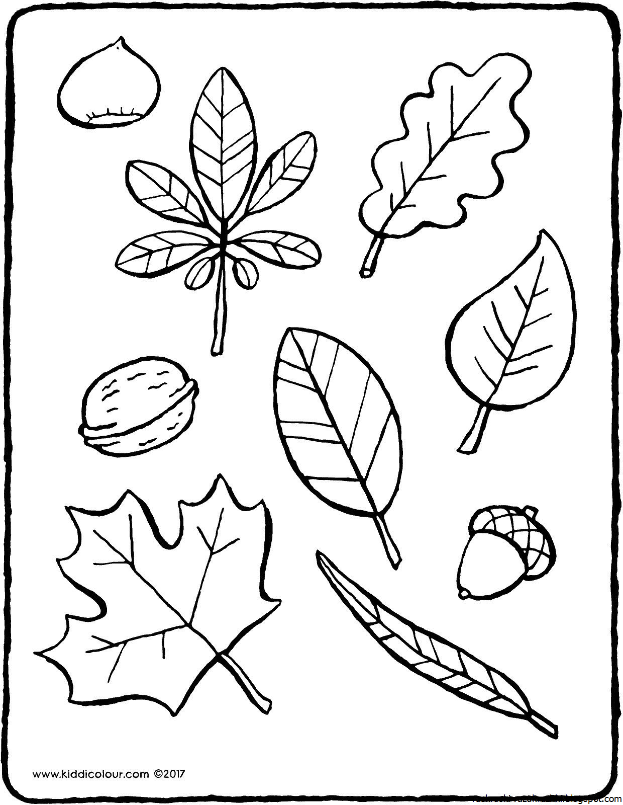 Раскрась листочки. Листья деревьев раскраска. Раскраска листья деревьев для детей. Дерево с листочками раскраска для детей. Раскраски для малышей листочки деревьев.