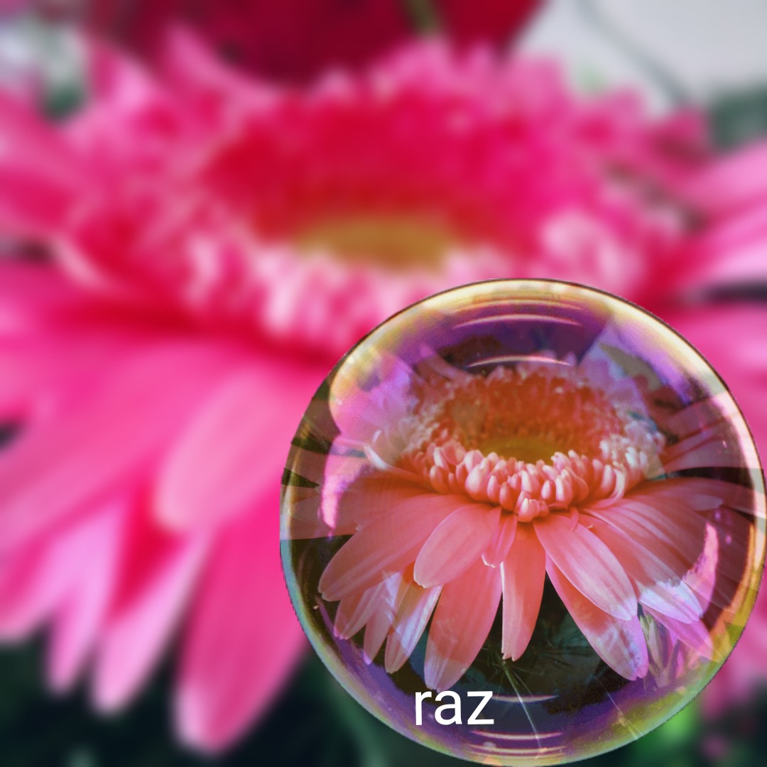 Garden Care Simplified symbolism of broken flower garlands and why you