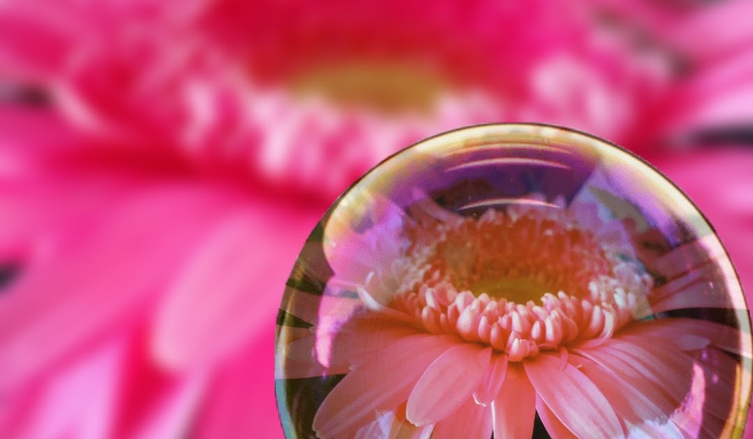 Garden Care Simplified symbolism of broken flower garlands and why you