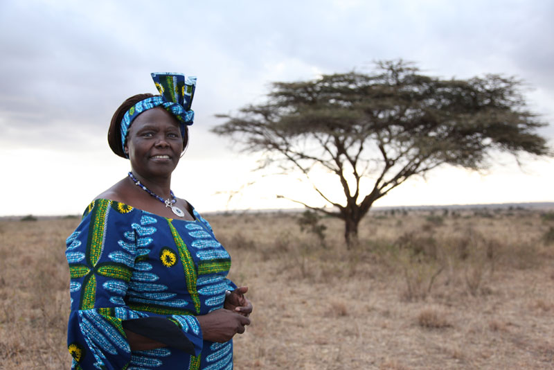 Soñando sonrisas...: Wangari y los árboles de la paz