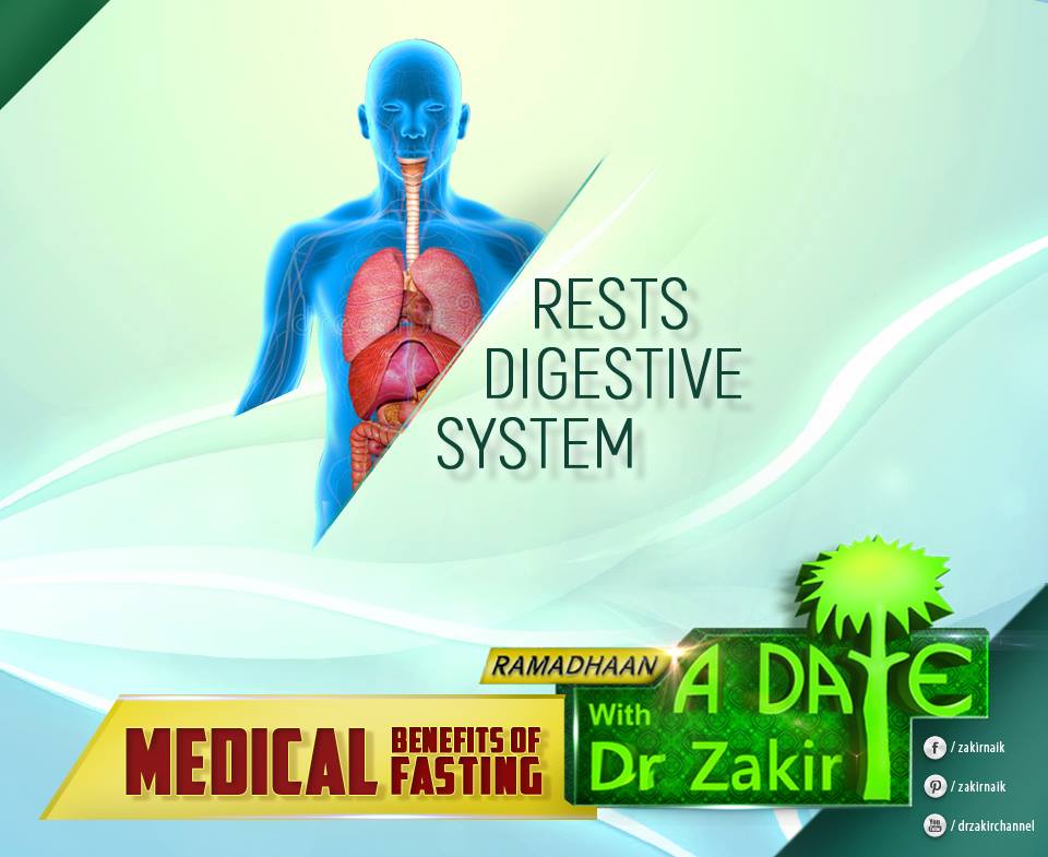 RESTS+DIGESTIVE+SYSTEM