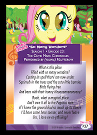 My Little Pony So Many Wonders Series 5 Trading Card