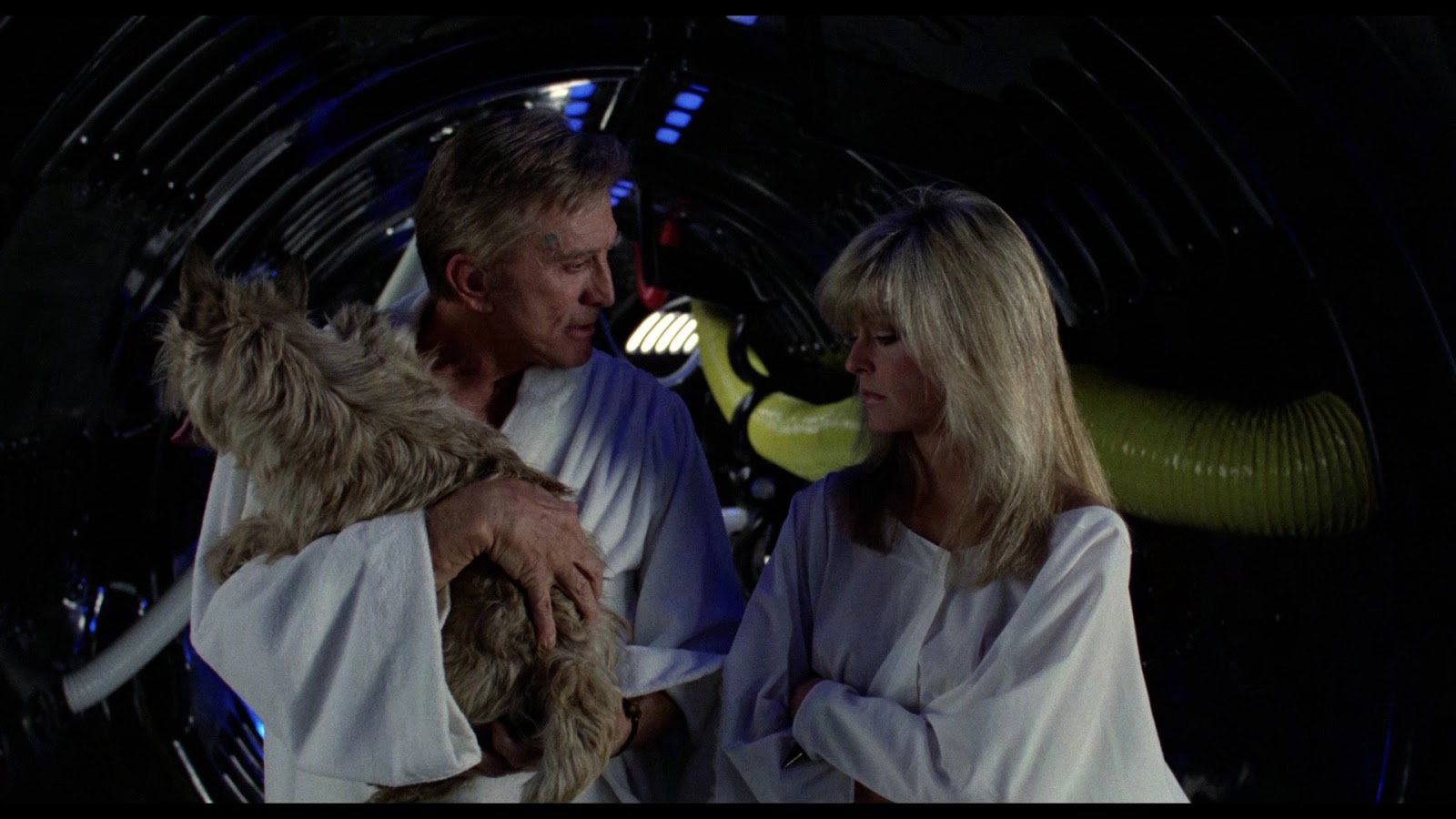 Planet Gang Bang 3 Combat Zone adultfilmdatabase