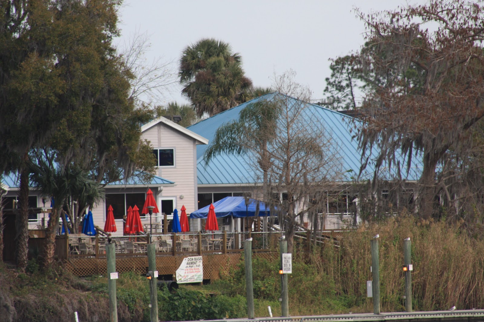 Meandering Joy Palatka to Welaka