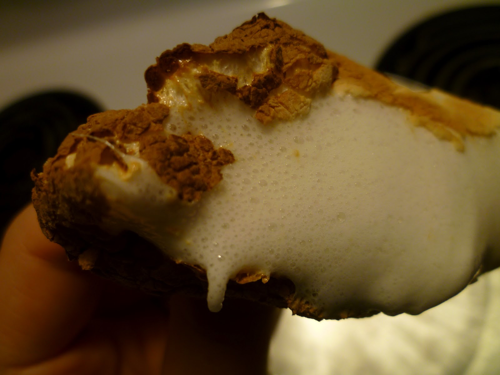 My Food Infatuation Roasted Marshmallows... in the oven!!