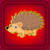 Porcupine Escape From House