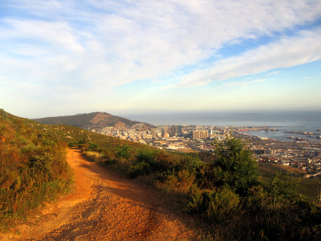 Newlands Forest Trail Run