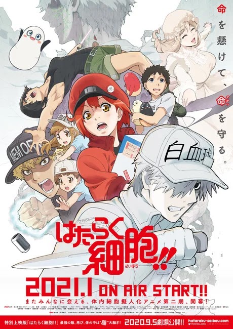 Balik Lagi, Hataraku Saibou Season 2 Hadir Januari 2021 Mendatang Balik Lagi, Hataraku Saibou Season 2 Hadir Januari 2021 Mendatang