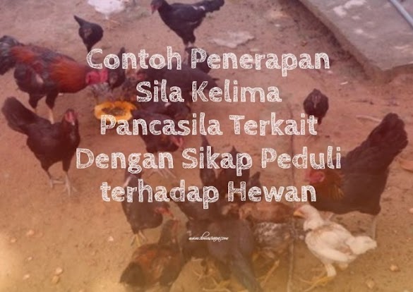 4+ Pola Penerapan Sila Kelima Terhadap Hewan