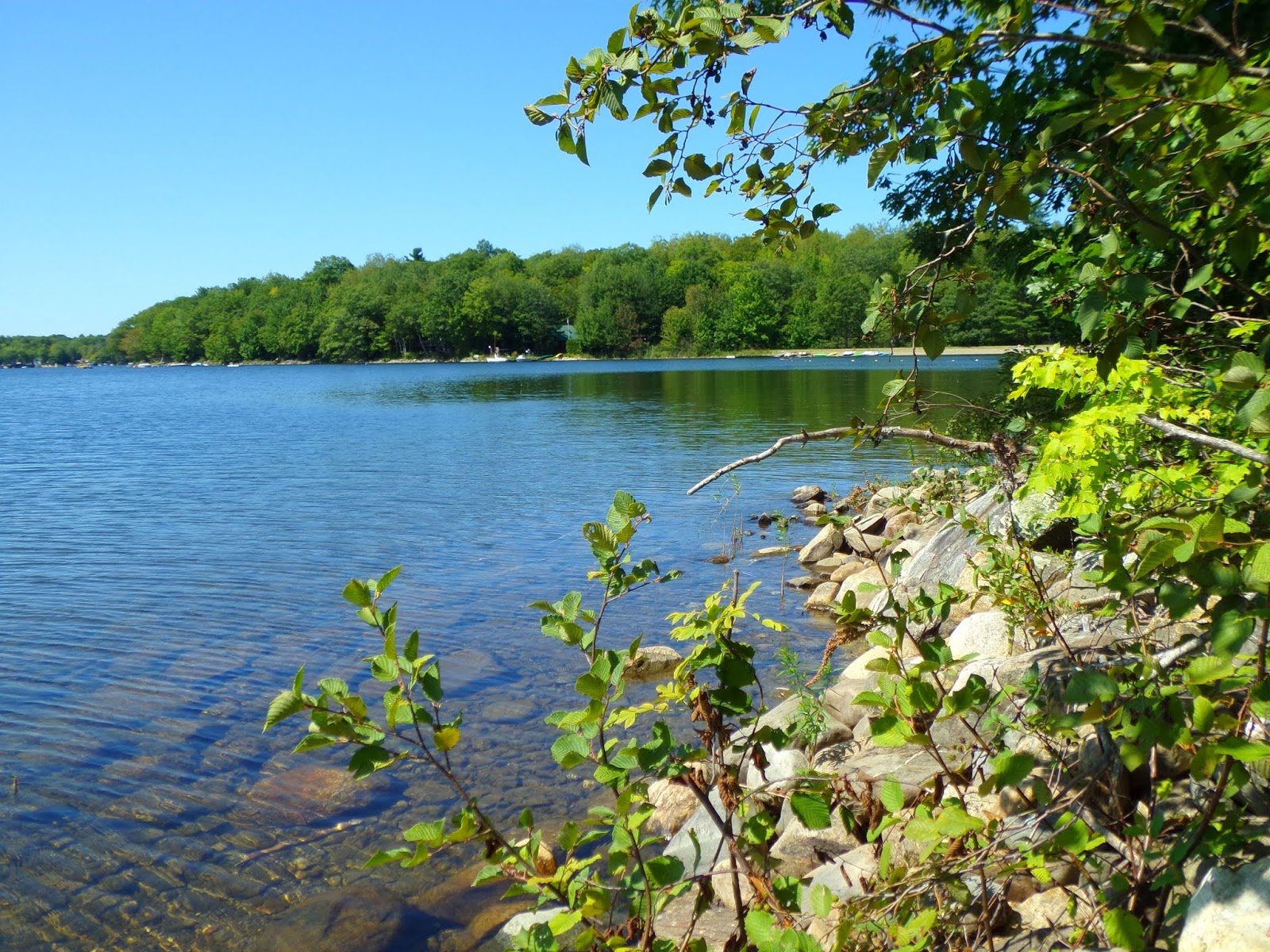 Swan Lake State Park, Swanville, Maine (return visit)
