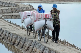 Petambak Madura Curhat ke Susi Garam Premium Rakyat Tak Terserap Petambak Madura Curhat ke Susi Garam Premium Rakyat Tak Terserap