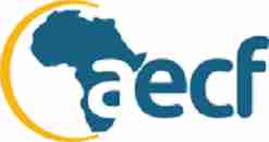 New Job Opportunity at The Africa Enterprise Challenge Fund Tanzania (AECF) - Consultant