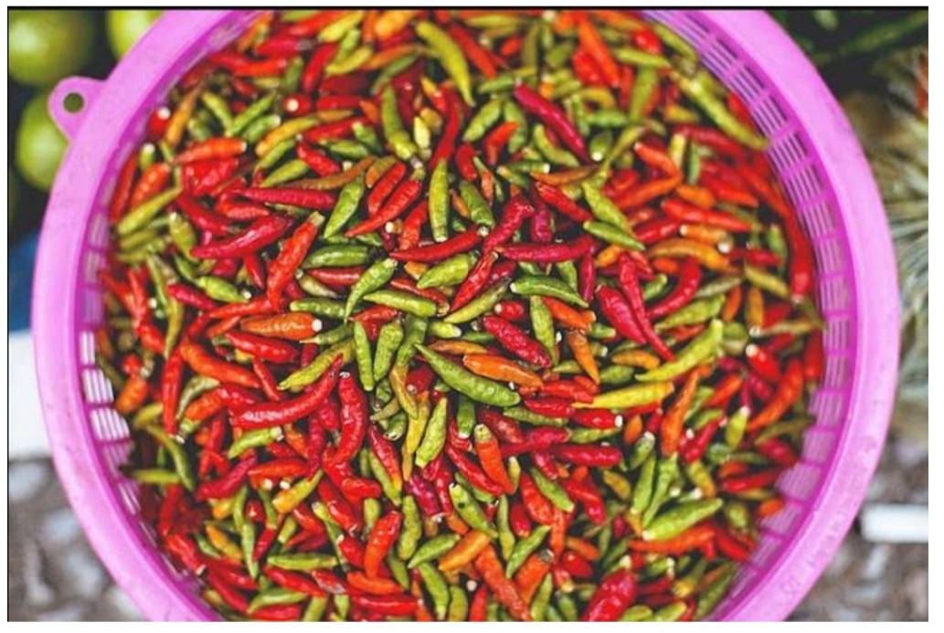 Cara Mudah Menyimpan Cabai Agar Tidak Cepat Busuk, Bisa