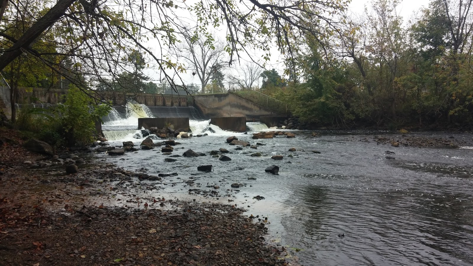 B.A.D. KYakers Fall Kayak Trip Mongo, Indiana