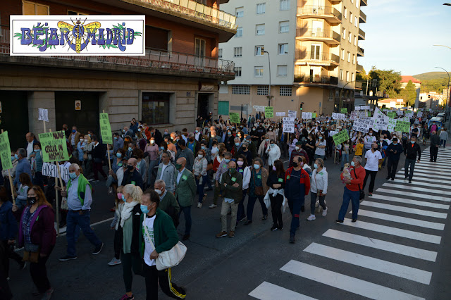 GALERÍA DE IMÁGENES | Béjar grita basta ya y reclama una sanidad digna - 15 de octubre de 2021