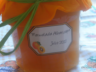  MERMELADA DE ALBARICOQUE A LA VAINILLA 