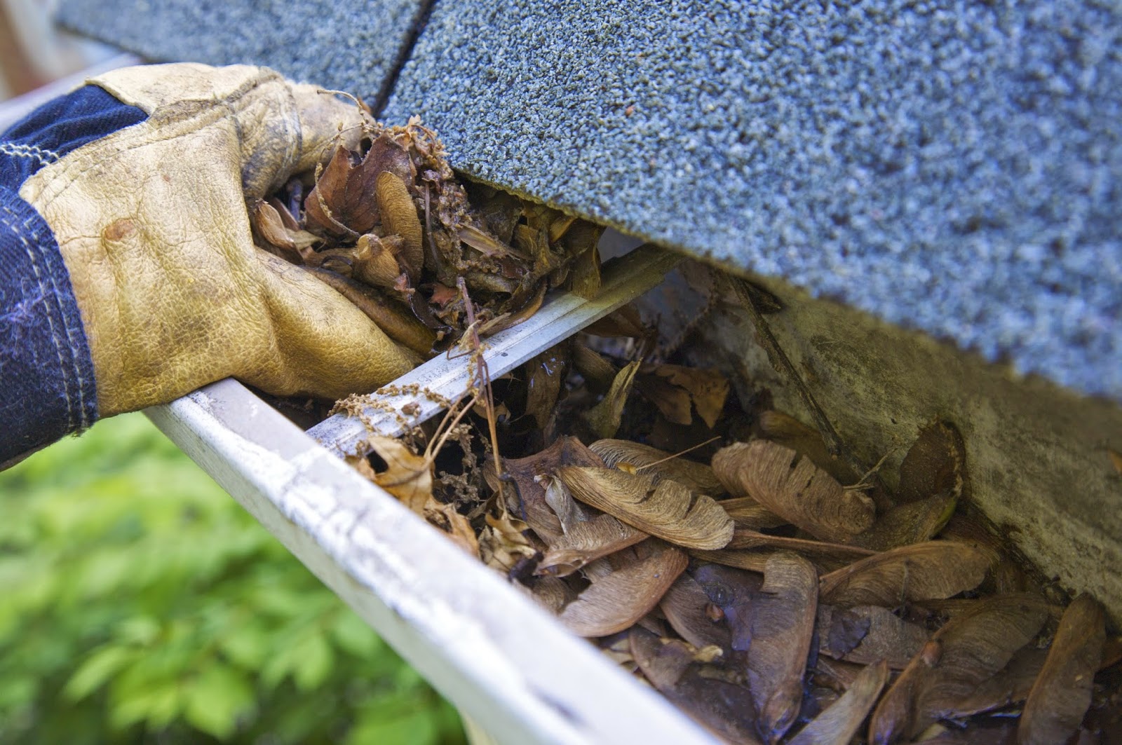 Hot Water Pressure Washing & Soft Wash Tallahassee, FL Gutter Clean