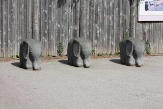 Three Little Elephants Toronto Zoo