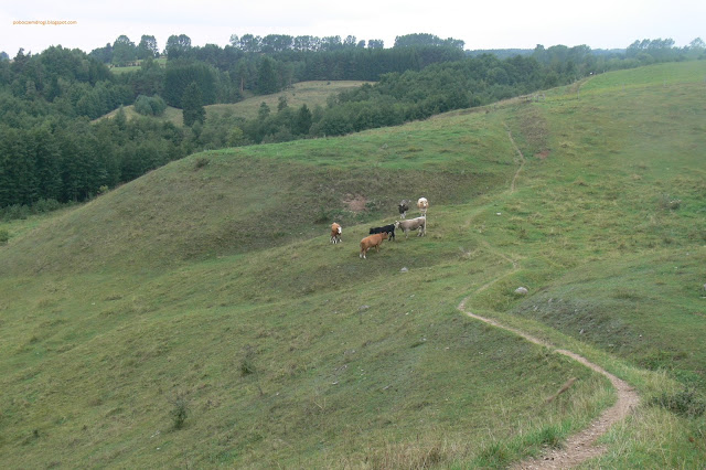 Suwalski Park Krajobrazowy Podróżnicze pomysły na jesień