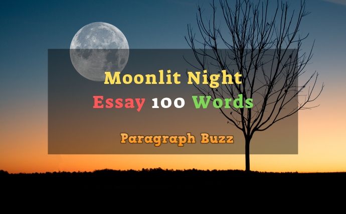 Moonlit night piano image