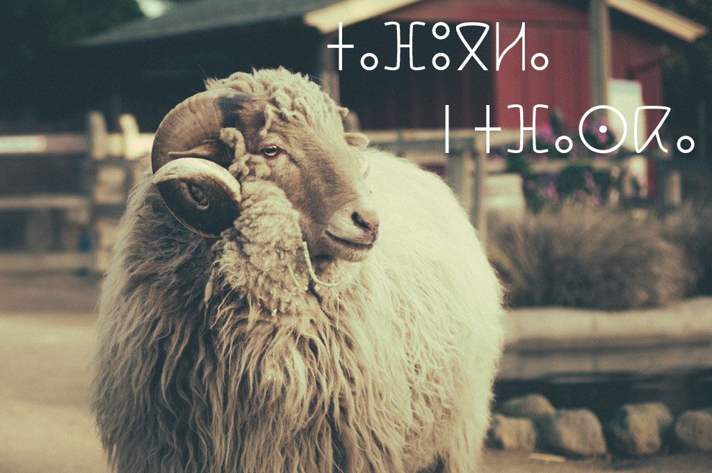 tafaska ⵜⴰⴼⴰⵙⴽⴰ ⵉⵣⵉⵎⵔ