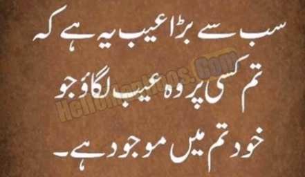 best-urdu-quotes-jo-apki-soch-badal-sakty-hain-2021 (1)