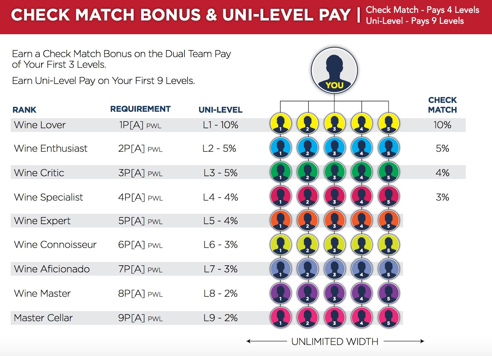 Direct Cellars Wine Club Review