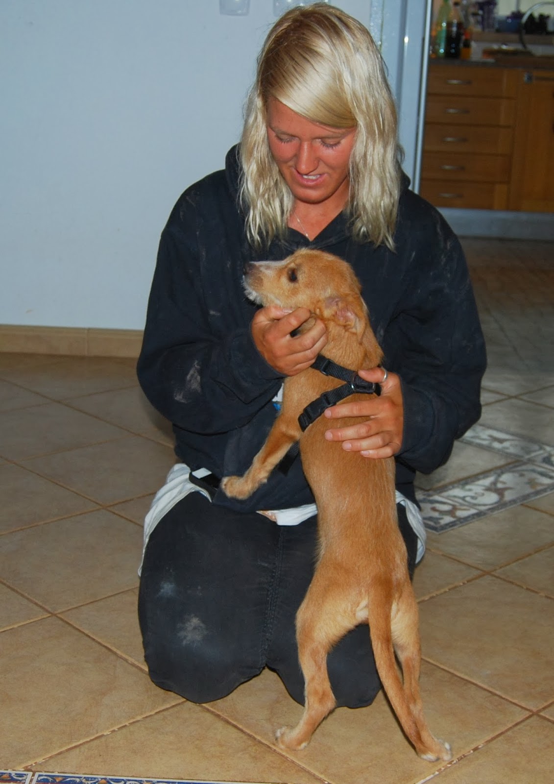 Das wahre Leben So´n büschen bekloppt ist ja ok. Hamsterkäufe?