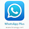  تحميل برنامج واتس اب بلس الأزرق Whatsapp Plus 2022 مجانا