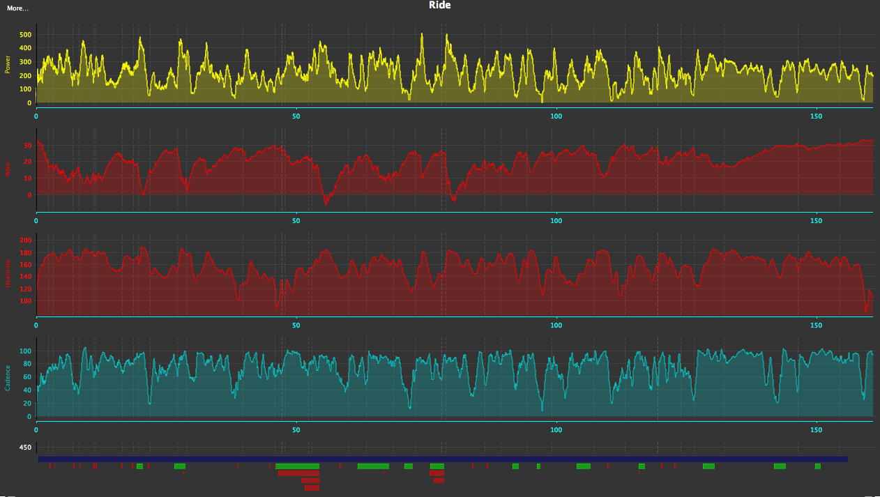 Ordnen Planen Leben Nestgezwitscher