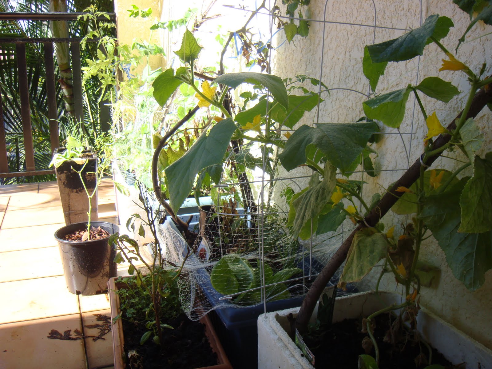 Piecemeal Projects Colorbond garden beds