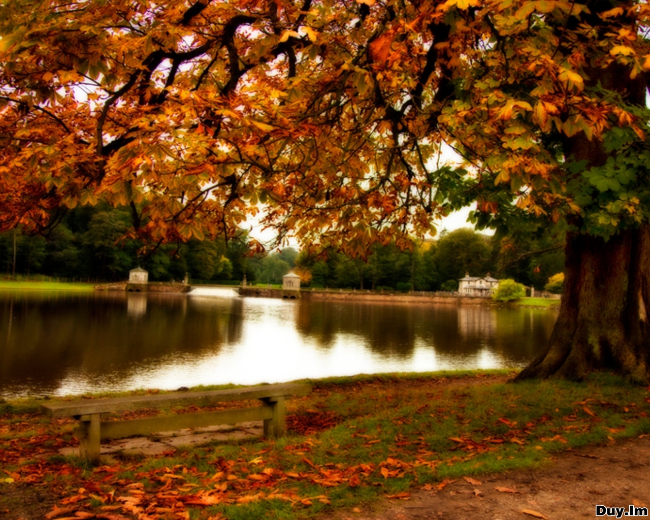 Daily Cool Pictures Gallery: 45 Wonderful Autumn Wallpapers 2011