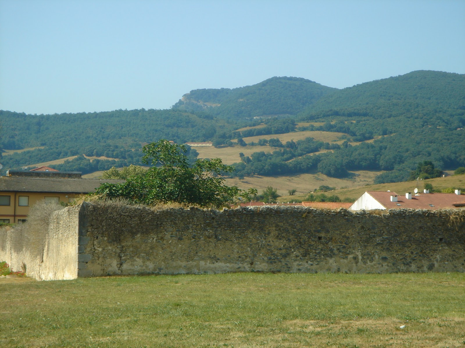 Historia y Genealogía Villasana de Mena. Burgos