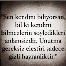 Eleştiri Sözleri,Güzel Eleştirili Sözler,Yeni Özeleştiri Sözleri