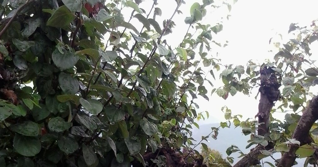 y Periodismo An expensive broadband in Cyprus