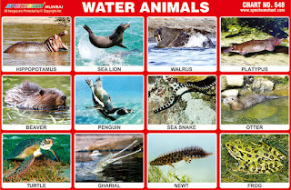Water Animals Chart contains images of animals living in water