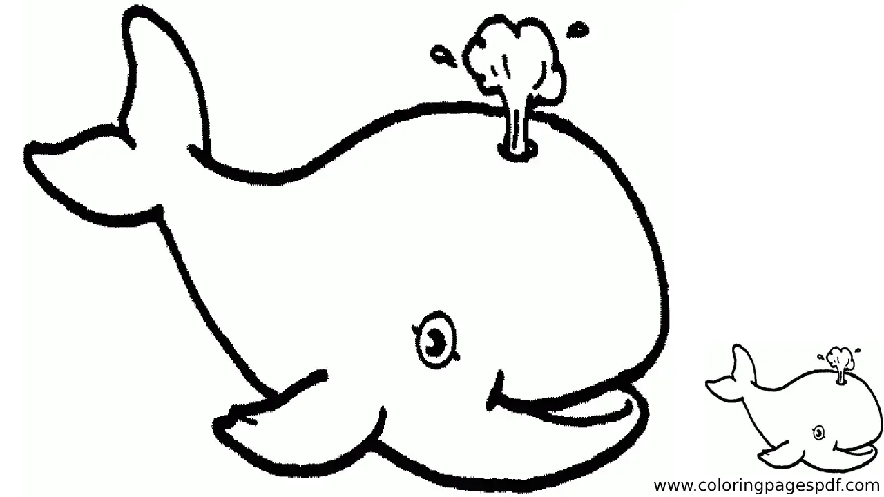 Coloring Page Of A Smiling Whale