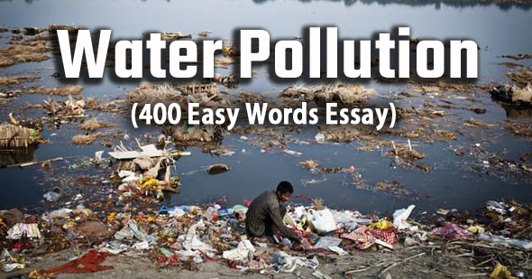 solution of water pollution essay 300 words