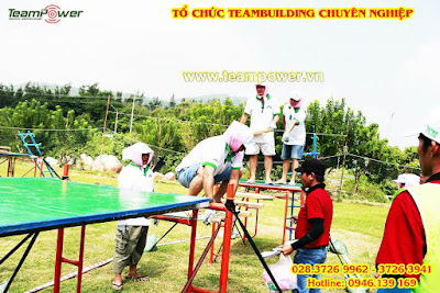 cong-ty-team-power-to-chuc-team-building