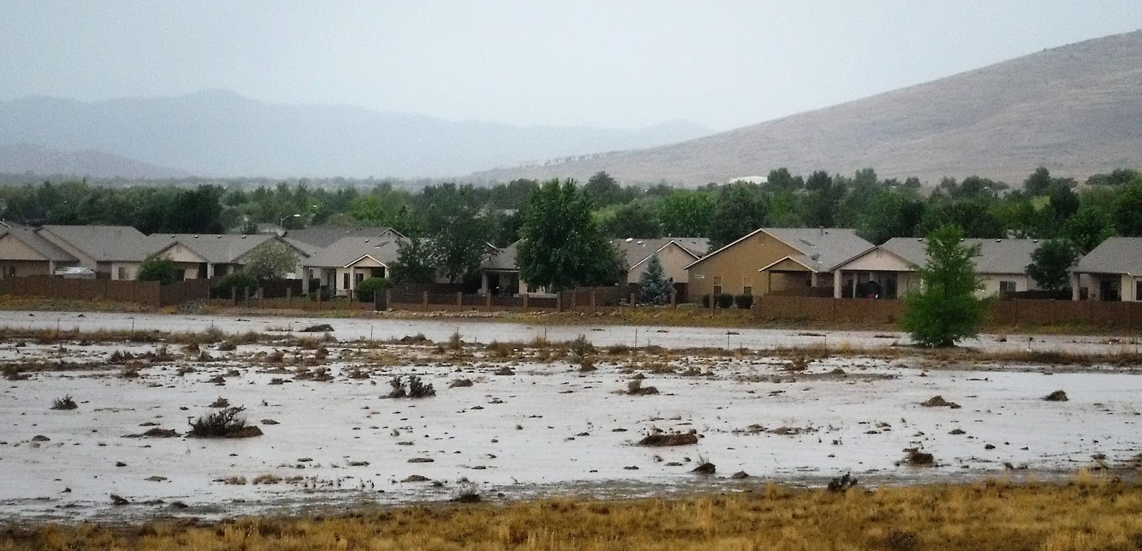 Oddball Observations WHEN IT RAINS IN ARIZONA