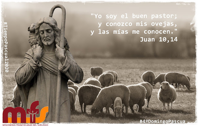  TIEMPO PASCUAL ❤ "Yo soy el buen pastor; y conozco mis ovejas, y las mías me conocen."  ❤