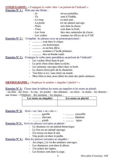 Mon cahier d'exercices 4 même 5 et 6ème AEP