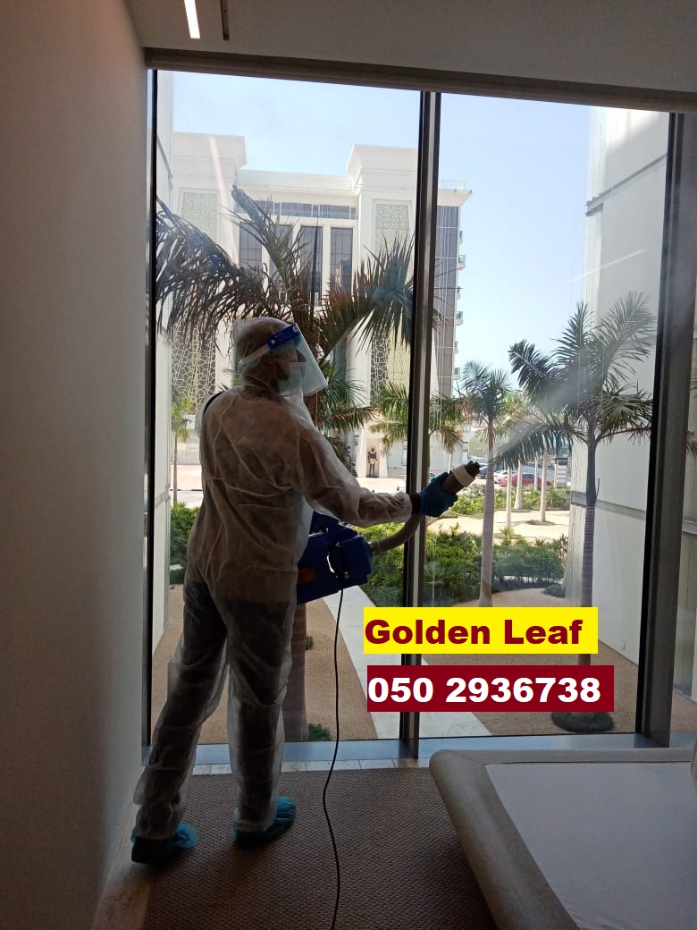 What are the things needs to do Before & After Disinfection Services at